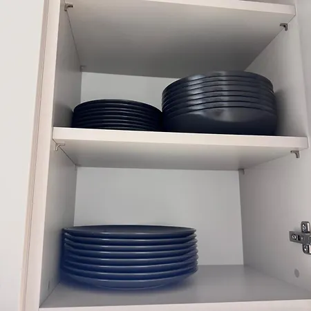 Forest V * ワルシャワ